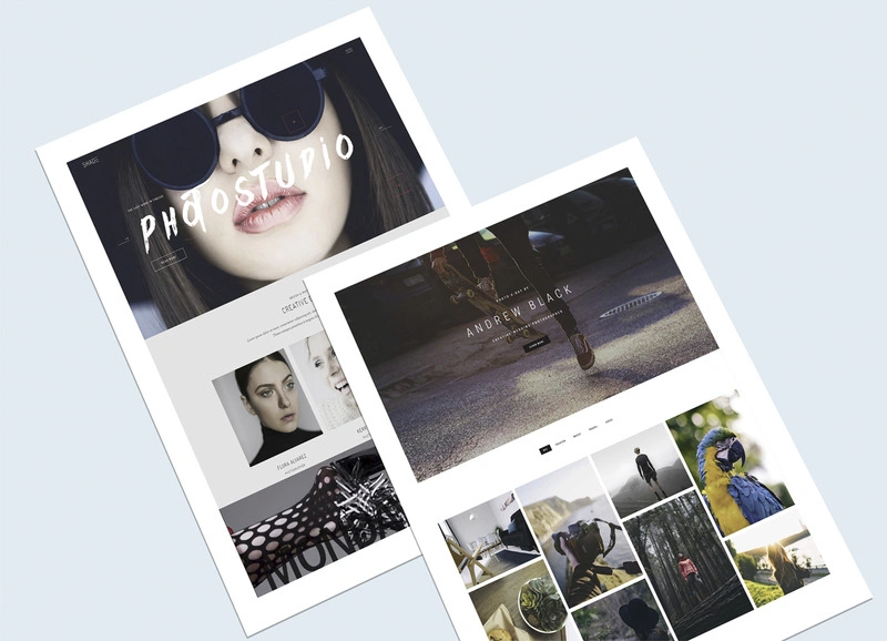 image intellagence représentant un site vitrine